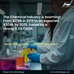 The Indian chemical industry is projected to grow from $178B to $304B by 2025. We provide the data-backed insights and execution capability you need to capitalize on this massive 9.3% CAGR growth and secure a first-mover advantage.