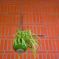 A simple yet elegant hanging ceramic planter adds a touch of green against the warm brick wall at the Sheraton Grand. Using hanging plants is an excellent way to draw the eye upward and add layers to an outdoor design scheme.