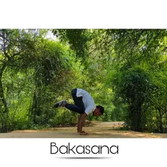 Holding Bakasana in a natural setting. This arm balance builds powerful wrists, arms, and core muscles, but more importantly, it teaches focus and the ability to find stillness and balance even when in a challenging position.
