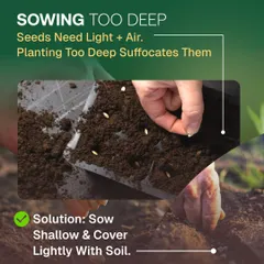 A common mistake is sowing seeds too deep, which suffocates them. Seeds need light and air to germinate, so the solution is to sow them shallowly and cover them lightly with soil.