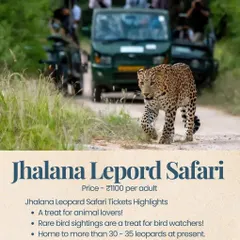 Go wild spotting leopards at Jhalana Safari in Jaipur. It's a treat for animal lovers and bird watchers, with an experienced guide to lead the way.