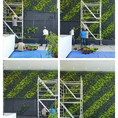 A four-part collage documenting the installation of a large vertical garden with a diagonal pattern. The images show our team working on scaffolding to execute the complex design with precision.