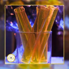 Taking cocktail science to the next level. We serve some of our most popular shots in these cool test tubes, adding a touch of molecular gastronomy fun to the experience.