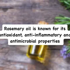 Rosemary oil is known for its powerful antioxidant, anti-inflammatory, and antimicrobial properties, which all contribute to a healthier scalp environment.