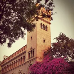 The vibrant bougainvillea against an old tower in Andalusia captures the region's spirit. My experiences here, especially during the world-famous Jerez Flamenco festival, have given me the most enriching moments and fuel the authenticity I bring to my classes.