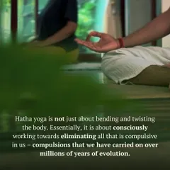 The essence of Hatha Yoga is not bending the body, but consciously working to eliminate the compulsive patterns we have carried for lifetimes. This image captures a moment of stillness and focus in a group setting.