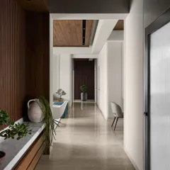 From the entrance corridor, a glimpse into the living room reveals a bright and welcoming space. We used a mix of natural materials and curated plants, like the bonsai, to bring life and character to the home from the very first step.