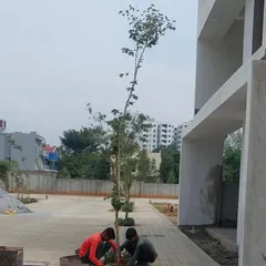 Our team on-site during the planting phase of a new residential layout in South Bangalore. Here, workers are carefully placing young trees that will grow to form the green avenues central to our landscape master plan.