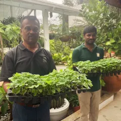 Our team members, Puttaraju and Shashi, are here to help you add a pop of color to your garden, even on grey days. Here they are with trays of lovely red Salvia saplings, ready to brighten up any space.