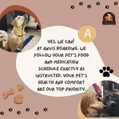 Absolutely. Your pet's health is our top priority. We follow your food and medication instructions exactly as provided to ensure their routine remains consistent and stress-free.