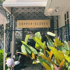 The entrance to our green haven in the middle of Indiranagar. I filled the space with plants to create a sense of calm and escape.