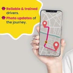 I understand the anxiety of being separated from your pet. To give you complete peace of mind, our reliable and trained drivers send photo updates during the journey, so you can see for yourself that they are safe and happy.