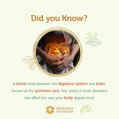 Did you know there is a strong bond between your digestive system and your brain, known as the gut-brain axis? Any stress or mental imbalance can directly affect how your body digests food, highlighting the need for a holistic approach.