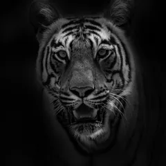 Another monochrome portrait of a tiger, this time with a slightly open mouth, as if in the middle of a breath. The dark background isolates the face, making the stripes and whiskers stand out with incredible clarity.