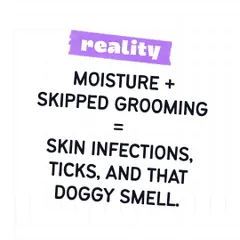 Reality: Moisture from the rain combined with skipped grooming is a recipe for skin infections, ticks, and that lingering doggy smell. Regular grooming is a key part of preventative health care, especially during the monsoon.