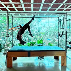 This inverted pose on the Cadillac uses the push-through bar to challenge core strength and shoulder stability. It's an advanced movement that demonstrates incredible body control and trust in the equipment.