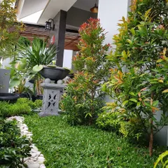 A lush garden corner showcasing a variety of plants we work with. This design features a mix of foliage textures and colors, along with decorative elements like a stone bird bath, to create a rich and layered garden.