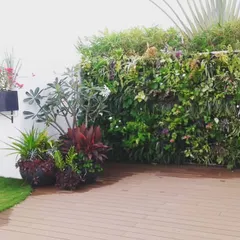 This rooftop terrace design demonstrates a diverse and functional green space. It combines a lush vertical garden packed with varied plant species, a manicured lawn area, and a wooden deck, all supported by an automated irrigation system for hassle-free maintenance.