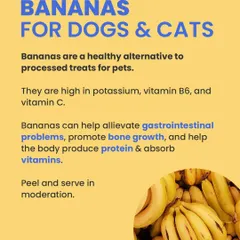 Bananas are a wonderful, healthy alternative to processed treats. They are high in potassium and vitamins, which can help with digestion and promote bone growth. Just remember to peel and serve in moderation.