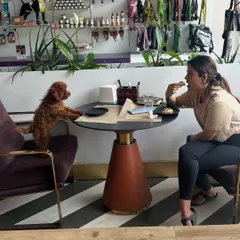 This is what pet-first dining looks like. We create moments where you can share a meal and make memories with your best furry friend, complete with comfortable seating and a welcoming atmosphere for everyone.