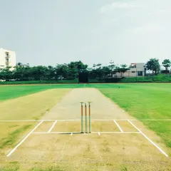 A perfectly curated cricket wicket at a beautiful venue. I select and prepare top-tier facilities to ensure the best possible playing conditions for my cricket leagues.