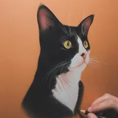 This is the finished color pencil portrait of a beautiful tuxedo cat. I used a combination of soft and sharp pencil strokes on toned paper to capture the sleekness of the black fur and the delicate white whiskers.