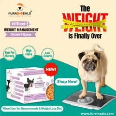 The 'weight' is finally over for so many dogs I've helped. A specially formulated, vet-designed weight management plan is about more than just feeding less; it's about feeding right to add years back to your dog's life. Let's get your fur baby on the path to a healthier weight.