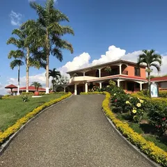 The entrance to a property should be grand and welcoming. Here, we lined the driveway with lush hedges, colorful flowers, and mature palm trees to create an impressive approach to this beautiful home.