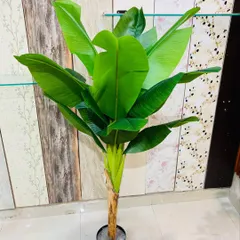 A tall artificial banana tree with large, vibrant green leaves. This plant brings a bold, tropical feel to any room.