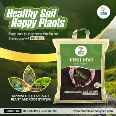 The principle is simple: healthy soil leads to happy plants. Our Prithvi Soil Media is expertly blended to improve your plant's entire root system, forming the strong foundation needed for a thriving garden.
