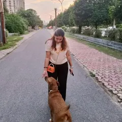 An evening walk with a friendly indie dog. This photo shows my natural connection with animals and my commitment to their welfare.