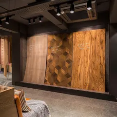 Large, curved veneer panels are displayed like works of art, showcasing the beauty and versatility of the material. The dramatic lighting highlights the unique grain and texture of each piece.
