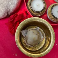 A single, delicious dog-friendly modak served in a traditional brass bowl. It's a perfect, safe offering for your beloved pet during Ganesh Chaturthi.