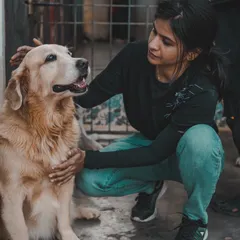 A visitor crouches down to share an affectionate gaze and a gentle pet with a happy Golden Retriever.