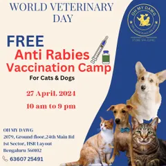 To celebrate World Veterinary Day, we hosted a free anti rabies vaccination camp. We believe that access to essential healthcare like this is vital for the wellbeing of all pets in our community.