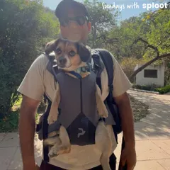 Hansa riding in style to one of our community walks. We love seeing how our community members make every journey an adventure.