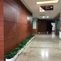 For this corporate office hallway at Sagar Hospital, I installed a series of low-profile planters with dense green foliage. This adds a touch of nature and professionalism to the space, creating a calming environment for employees and visitors without any maintenance distractions.