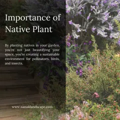 We champion the use of native plants in our gardens. Choosing species that are naturally adapted to the local climate not only ensures a low-maintenance and sustainable landscape but also provides a vital habitat for local pollinators, birds, and insects.