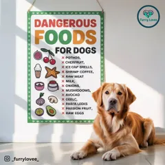 Another important visual reminder of dangerous foods for dogs. Keeping these items out of your dog's reach is a simple but vital part of responsible pet ownership.