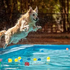 Capturing pure joy and energy is what I live for. This shot of Ginie mid-flight into a pool shows my ability to freeze the perfect moment during on-location action shoots, creating dynamic images for lifestyle brands.
