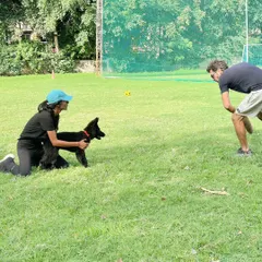 Another shot from baby Yoko's first outing. Socializing young puppies in a controlled way is crucial for their development. Here he is learning from me and Simran.