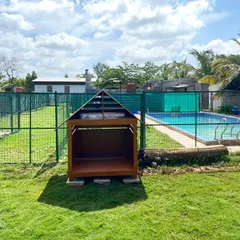 We build our own infrastructure, like these outdoor resting kennels. Placed in our playpens, they offer a shady spot for dogs to relax on hot days or shelter from sudden rain.