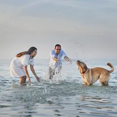 Pure, splashing joy at a dog-friendly beach in Dubai! This is what happens when we let your pet lead the way. We spent the evening chasing waves and capturing Astro the Labrador in his element, creating memories of pure, uninhibited fun for his family.