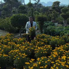 Gende ke phoolon se bhara yeh nazara dekhiye. Humare paas har mausam ke liye phoolon ki bharmaar rehti hai.