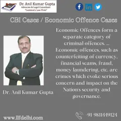 This image details the nature of economic offences, such as counterfeiting, financial scams, and fraud. Our firm has significant experience in defending clients against these serious allegations that impact national security and governance.