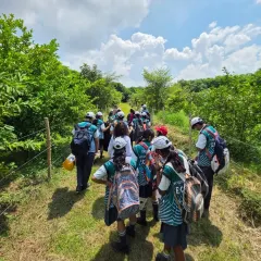 There is nothing better than seeing a forest trail through the eyes of young explorers. We guide students from schools like Evergreen Public School through the green paths we have restored, showing them firsthand how a forest ecosystem works. It is about planting a seed of curiosity.