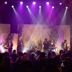 The band on stage under dramatic purple spotlights, with the audience filling the foreground. Our professional lighting and sound setup enhances the overall concert experience.