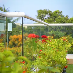 A closer view of the flowering plants selected for the Aradhya terrace project. The vibrant red Ixora flowers add a pop of color against the green foliage and the city backdrop, creating a cheerful and inviting outdoor space.