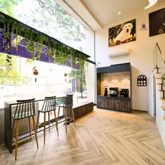 The bright and airy interiors of our Pet Hotel. We've designed the space with large windows and comfortable seating to create a stress-free environment for pets and their parents.