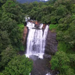 A stunning aerial view of a waterfall cascading through the dense green forests of Karnataka. This is a sight that shows the true richness of the Malnad region.